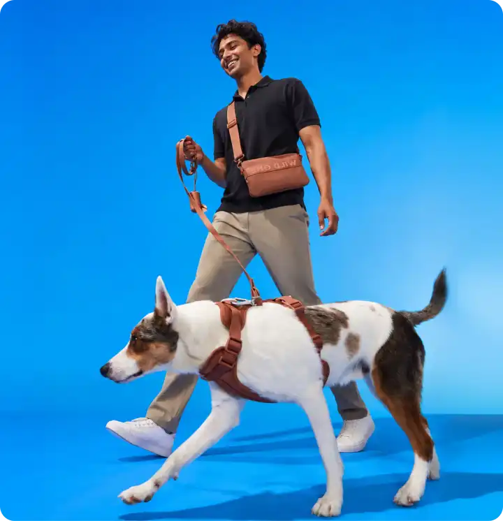 Pet Walking in Pune, MH