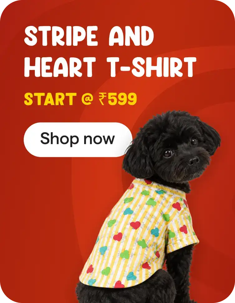 Stripe and Heart T-shirt